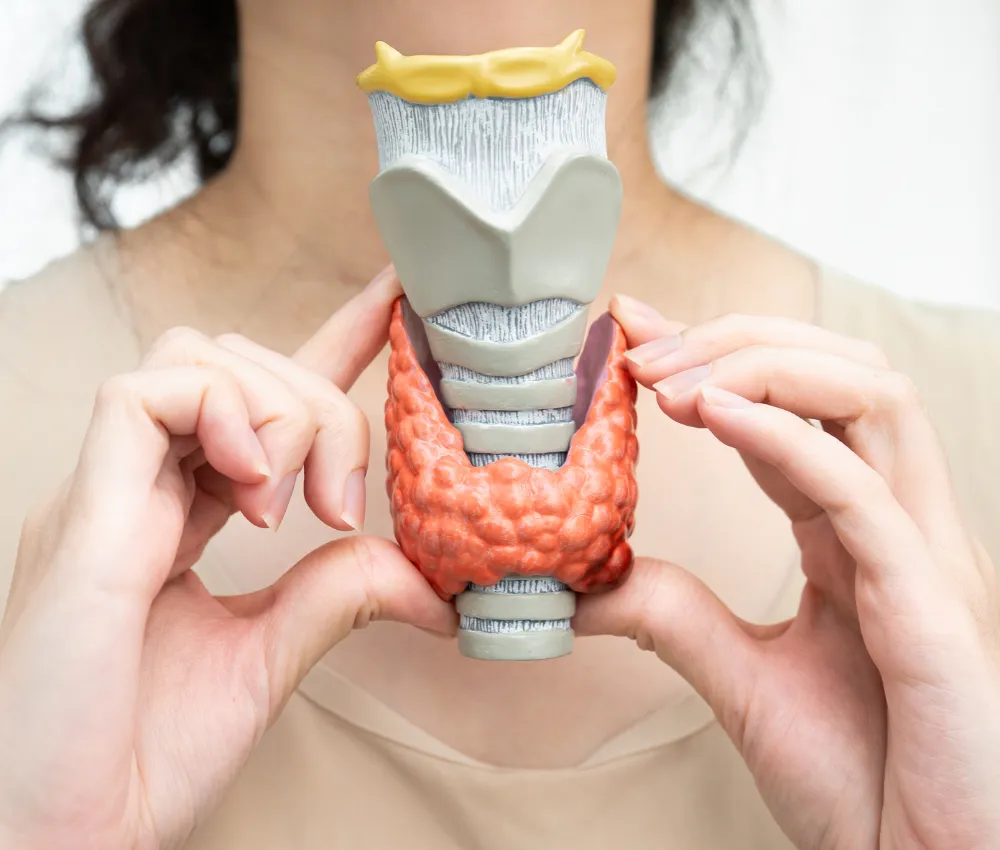 provides best profhilo injection treatment in dubai at affordable prices